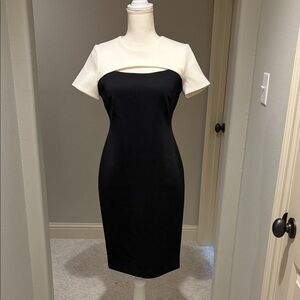 Calvin Klein Black and Cream Midi Sheath Dress